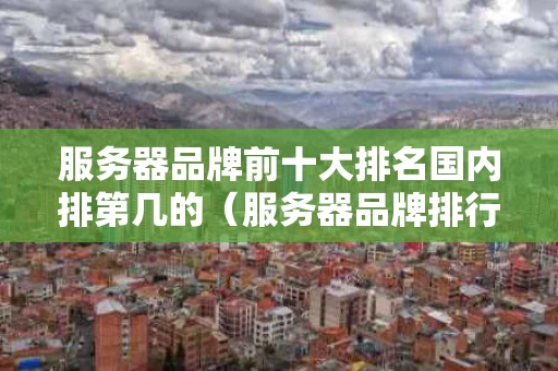 服务器品牌前十大排名国内排第几的（服务器品牌排行榜前十名）