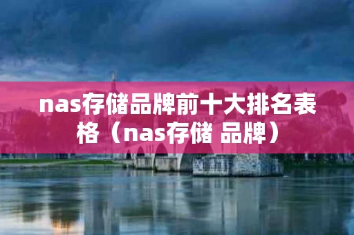 nas存储品牌前十大排名表格（nas存储 品牌）