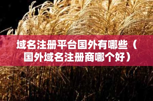 域名注册平台国外有哪些（国外域名注册商哪个好）