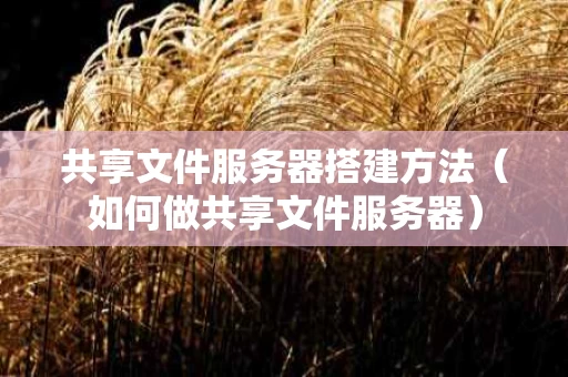 共享文件服务器搭建方法（如何做共享文件服务器）