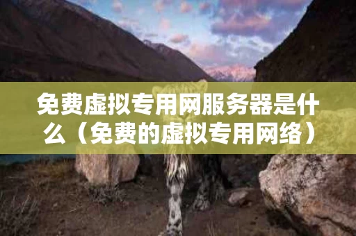 免费虚拟专用网服务器是什么（免费的虚拟专用网络）