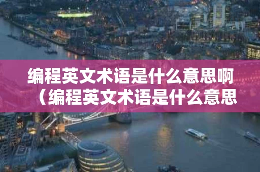 编程英文术语是什么意思啊（编程英文术语是什么意思啊怎么写）