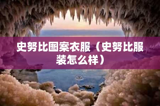 史努比图案衣服（史努比服装怎么样）