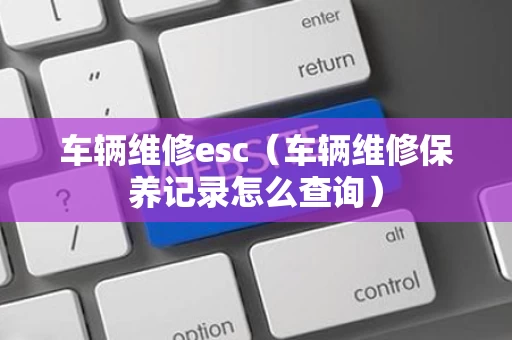 车辆维修esc（车辆维修保养记录怎么查询）