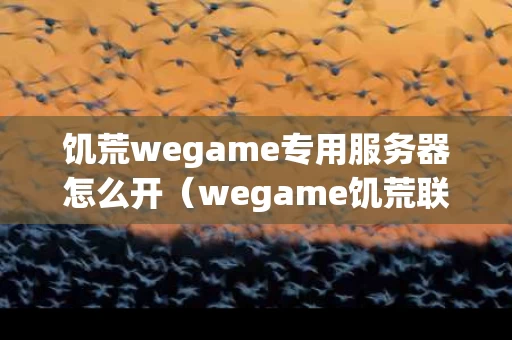 饥荒wegame专用服务器怎么开（wegame饥荒联机版专用服务器有什么用）