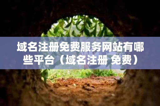 域名注册免费服务网站有哪些平台（域名注册 免费）