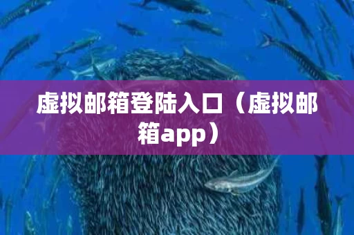 虚拟邮箱登陆入口（虚拟邮箱app）