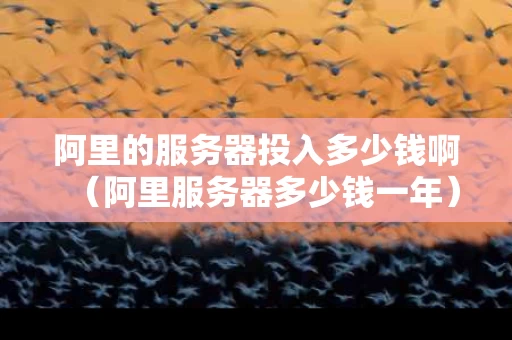 阿里的服务器投入多少钱啊（阿里服务器多少钱一年）