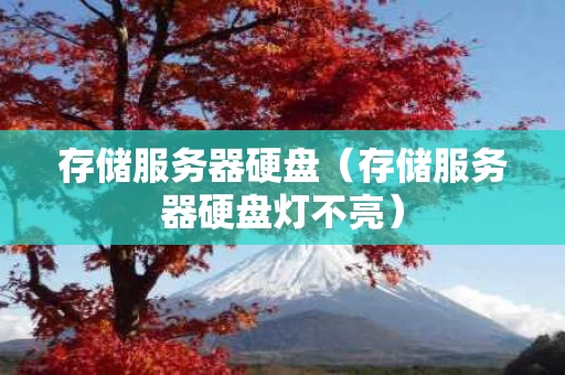 存储服务器硬盘（存储服务器硬盘灯不亮）