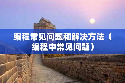 编程常见问题和解决方法（编程中常见问题）