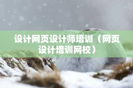 设计网页设计师培训（网页设计培训网校）