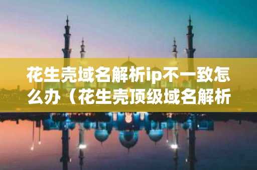 花生壳域名解析ip不一致怎么办（花生壳顶级域名解析）
