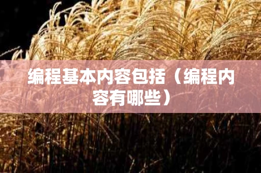 编程基本内容包括（编程内容有哪些）