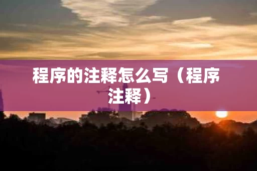程序的注释怎么写（程序 注释）