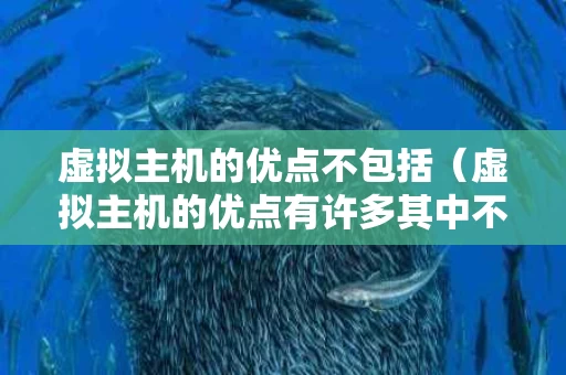 虚拟主机的优点不包括（虚拟主机的优点有许多其中不包括）