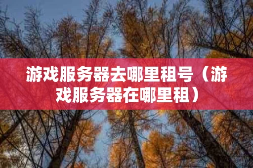 游戏服务器去哪里租号（游戏服务器在哪里租）
