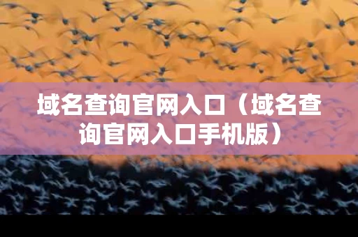 域名查询官网入口（域名查询官网入口手机版）