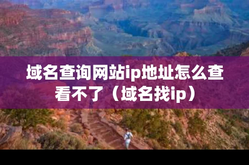 域名查询网站ip地址怎么查看不了（域名找ip）