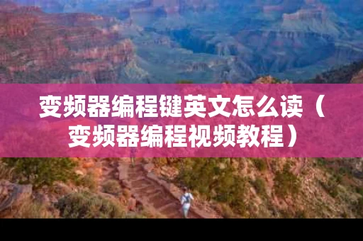 变频器编程键英文怎么读（变频器编程视频教程）