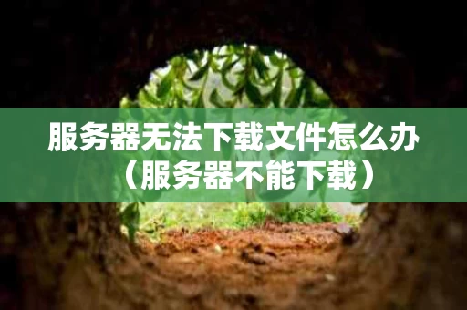 服务器无法下载文件怎么办（服务器不能下载）