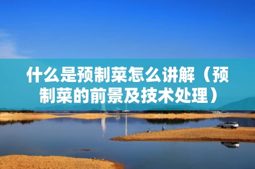 什么是预制菜怎么讲解（预制菜的前景及技术处理）