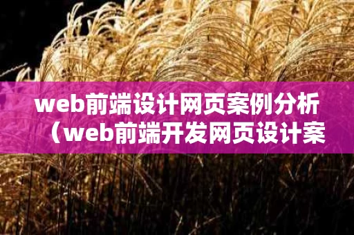 web前端设计网页案例分析（web前端开发网页设计案例）