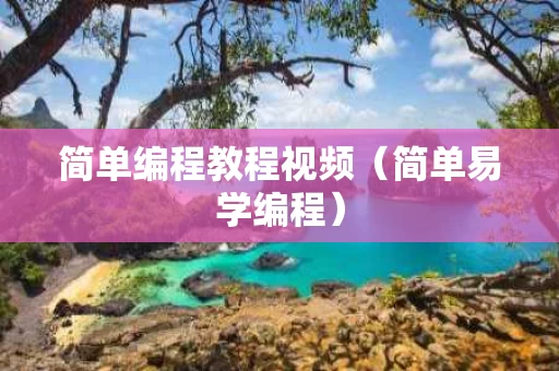 简单编程教程视频（简单易学编程）