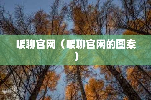 暖聊官网（暖聊官网的图案）