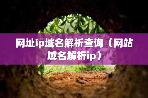 网址ip域名解析查询（网站域名解析ip）