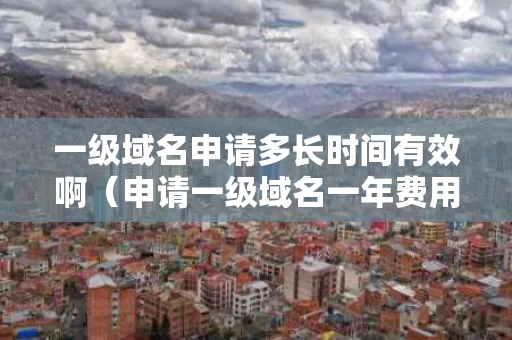 一级域名申请多长时间有效啊（申请一级域名一年费用是多少?）