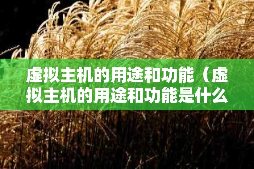 虚拟主机的用途和功能（虚拟主机的用途和功能是什么）
