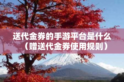 送代金券的手游平台是什么（赠送代金券使用规则）