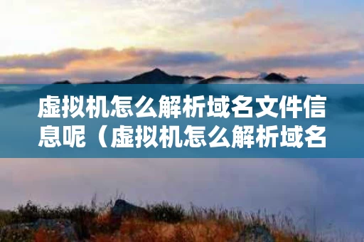 虚拟机怎么解析域名文件信息呢（虚拟机怎么解析域名文件信息呢）