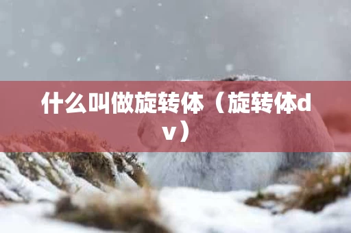什么叫做旋转体（旋转体dv）