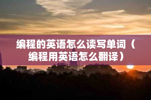 编程的英语怎么读写单词（编程用英语怎么翻译）