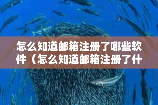 怎么知道邮箱注册了哪些软件（怎么知道邮箱注册了什么）