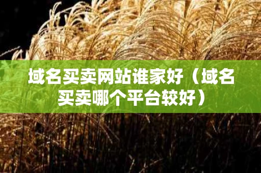 域名买卖网站谁家好（域名买卖哪个平台较好）