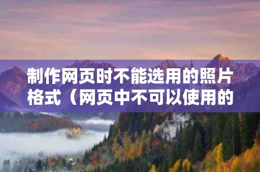 制作网页时不能选用的照片格式（网页中不可以使用的图像文件类型）