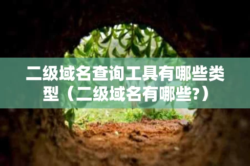 二级域名查询工具有哪些类型（二级域名有哪些?）
