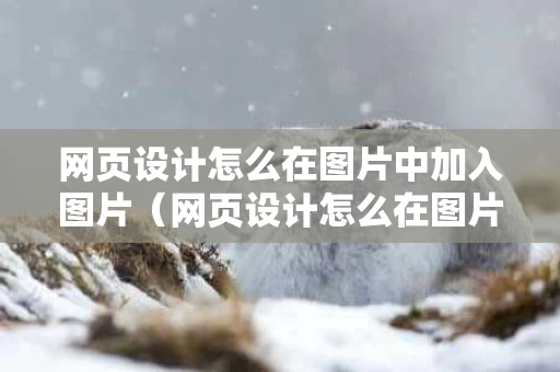 网页设计怎么在图片中加入图片（网页设计怎么在图片中加入图片文字）