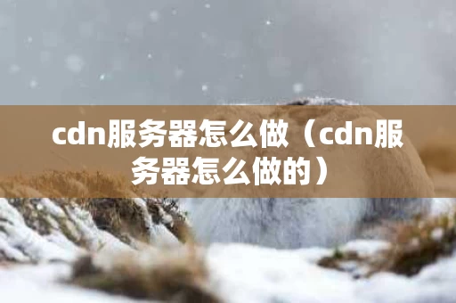 cdn服务器怎么做（cdn服务器怎么做的）