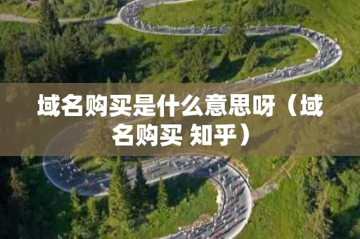域名购买是什么意思呀（域名购买 知乎）