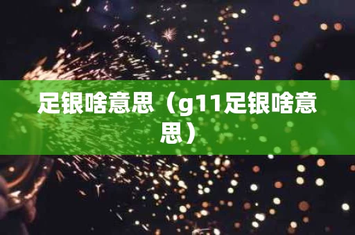 足银啥意思（g11足银啥意思）