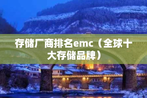 存储厂商排名emc（全球十大存储品牌）