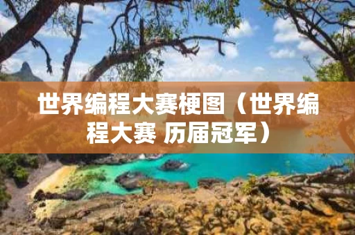 世界编程大赛梗图（世界编程大赛 历届冠军）