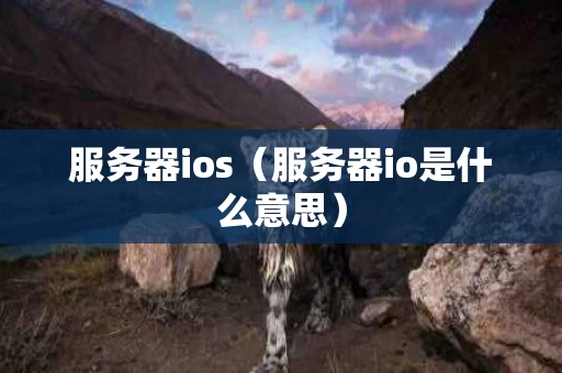 服务器ios（服务器io是什么意思）
