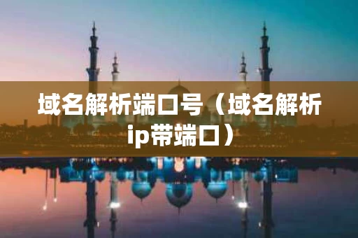 域名解析端口号（域名解析ip带端口）