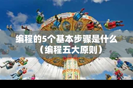 编程的5个基本步骤是什么（编程五大原则）