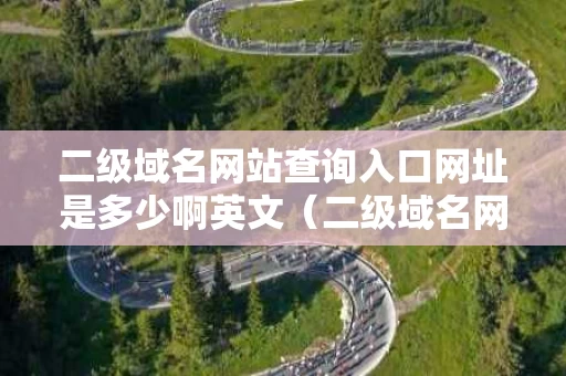 二级域名网站查询入口网址是多少啊英文（二级域名网站是什么意思）