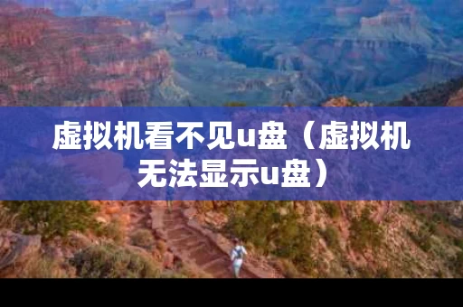 虚拟机看不见u盘（虚拟机无法显示u盘）